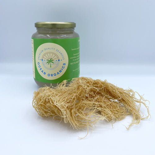 Wild Sea Moss – Organics Ocean